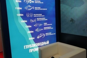 Выставка рыбной индустрии, морепродуктов и технологий 2018