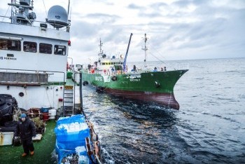 Fleet and fishing