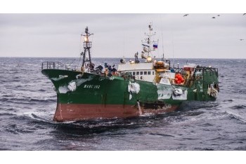 Fleet and fishing