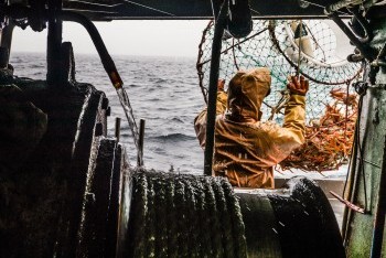 Fleet and fishing
