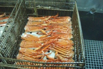 Crabs
